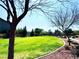 Expansive green lawn in the community park, surrounded by trees and landscaping at 8694 Glen Echo Ave, Las Vegas, NV 89148