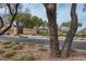 Community entrance sign for 'The Arbors' surrounded by mature trees and desert landscaping at 10513 Shanna Trellis Ave, Las Vegas, NV 89144