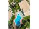 Aerial view of a private backyard featuring a pool, spa, and mature landscaping at 2401 Rice Flower Cir, Las Vegas, NV 89134
