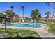 Community swimming pool surrounded by palm trees, seating, and well-maintained landscaping, perfect for leisure at 5751 E Hacienda Ave # 243, Las Vegas, NV 89122