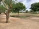 Dog park with shady trees, walking trails, and open green spaces, offering a peaceful and natural setting at 1072 Pennyfeather Rd, Henderson, NV 89015