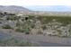 View of desert landscaping in a community, with desert brush and a view of the city in the background at 1072 Pennyfeather Rd, Henderson, NV 89015
