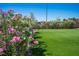 Beautiful landscaping with colorful flowers lining the yard, adding charm and curb appeal at 5815 Pristine Falls Ave, Las Vegas, NV 89131