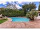 Beautiful pool area with mature palm trees, a diving board, and lush landscaping at 1450 Rancho Cir, Las Vegas, NV 89107