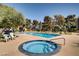 Inviting community pool and hot tub surrounded by mature trees and landscaping at 725 N Royal Crest Cir # 214, Las Vegas, NV 89169