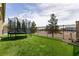 Backyard with lush turf and a trampoline offers a fun and safe play area at 7416 Redhead Dr, North Las Vegas, NV 89084