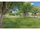 Expansive green lawn with mature trees, offering a serene and picturesque view of the surrounding community at 10021 Skipper Ct, Las Vegas, NV 89117