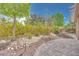 Tranquil backyard with mature trees, shrubs, and paved area at 7908 Morning Gallop Ct, Las Vegas, NV 89131