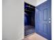 Walk-in closet with blue walls, custom lighting, and patterned carpet at 7908 Morning Gallop Ct, Las Vegas, NV 89131