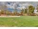 Scenic view of community park with lush green grass, walking path and mature trees, perfect for outdoor activities at 7908 Morning Gallop Ct, Las Vegas, NV 89131