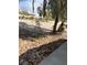 Exterior view of a home showcasing desert landscaping with rocks, plants, and trees at 2260 Rugged Mesa Dr, Laughlin, NV 89029