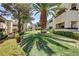 Exterior view of the community with lush green landscaping and mature palm trees at 2975 Bluegrass Ln # 811, Henderson, NV 89074