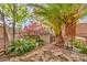 Backyard featuring mature landscaping, palm trees and storage shed at 3735 Morning Canyon St, Las Vegas, NV 89147