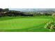 Lush green golf course with views of the city skyline in the distance, perfect for a relaxing game at 650 Scenic Cliff Dr, Henderson, NV 89012