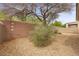 Low-maintenance backyard featuring gravel, mature landscaping, and privacy walls at 7849 Lily Trotter St, North Las Vegas, NV 89084