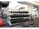 Gym with dumbbells and mirror at 8255 Las Vegas Blvd # 802, Las Vegas, NV 89123