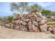 Rock climbing structure with colorful holds, surrounded by lush greenery, providing a fun and challenging outdoor activity at 712 Monroe Hill Pl, Henderson, NV 89011