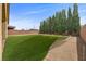 Spacious backyard with artificial grass, gravel area, and a row of trees along the fence line at 732 Rosewater Dr, Henderson, NV 89011
