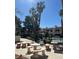 Community outdoor seating area with tables and benches surrounded by palm trees at 8455 W Sahara Ave # 258, Las Vegas, NV 89117