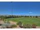 Scenic community green space with walking paths, manicured lawns, mature trees, and covered picnic areas at 2641 Vendange Pl, Henderson, NV 89044