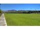 Expansive green space in a community, perfect for sports and recreation with manicured grass and scenic views at 2641 Vendange Pl, Henderson, NV 89044
