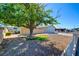 Landscaped front yard features a mature shade tree, decorative gravel, and vibrant greenery at 3254 Greenbriar Dr, Las Vegas, NV 89121
