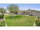 Spacious backyard featuring a well-maintained lawn and mature tree, perfect for outdoor activities and relaxation at 3581 Pahrump Valley Blvd, Pahrump, NV 89048