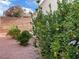 Enclosed backyard features desert landscaping with mature trees and block wall at 436 Pumpkin Way, Henderson, NV 89015