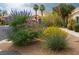 Landscaped yard featuring drought-resistant plants, gravel, and a blooming variety of flowers and shrubs at 9532 Calico Garden Ave, Las Vegas, NV 89134