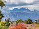Scenic view of snow-capped mountains from the property overlooking treetops at 209 Tainted Berry Ave, North Las Vegas, NV 89031