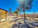Backyard with desert landscaping, shade tree, and a small patio area at 6397 Kell Ln, Las Vegas, NV 89156