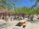 Picnic tables are available to enjoy a day at the park at 853 Rusty Anchor Way, Henderson, NV 89002