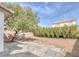 Large backyard with a mature shade tree, a stone patio, and a well-maintained privacy hedge at 10004 W Cherokee Ave, Las Vegas, NV 89147