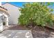 Backyard featuring a concrete patio, mature tree and block wall at 1405 Sycamore Spring Ct, Las Vegas, NV 89128