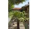 Lush landscaping with palm trees and decorative rocks adds curb appeal to this property at 1801 Calle De Vega, Las Vegas, NV 89102