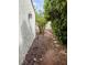 Stone walkway along side of home with small rocks and green bushes, trees and plants at 1801 Calle De Vega, Las Vegas, NV 89102