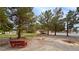 Large backyard with trees, bench, and gravel creating a peaceful and private outdoor space at 3580 Unicorn Ave, Pahrump, NV 89048