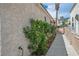 Side view of the property showcases a tidy walkway with flowering shrubs at 3934 Sir Payne Ct, Las Vegas, NV 89104