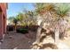 Landscaped backyard with desert landscaping, trees, and a brick wall at 5518 Ovando Way, Las Vegas, NV 89122