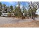 Spacious yard with mature trees and gravel landscaping, RV parking available at 5570 N Nopah Vista Ave, Pahrump, NV 89060