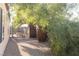 Backyard landscaping with trees, gravel and a peek-a-boo view of a fenced in pool area at 6493 Yellow Bells Ct, Las Vegas, NV 89131