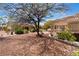 Beautiful backyard with desert landscaping, shade trees, and a covered patio at 9305 Quail Ridge Dr, Las Vegas, NV 89134