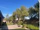 Green backyard with brick patio, block wall and trees at 8584 Garnet Lake Ave, Las Vegas, NV 89113