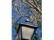 Outdoor lamp post with an eagle statue, set against a backdrop of trees and sky at 10657 San Vercelli Ct, Las Vegas, NV 89141