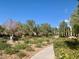 Landscaped area with native plants, trees, and a sidewalk at 10657 San Vercelli Ct, Las Vegas, NV 89141