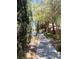 Tree-lined sidewalk offering a pleasant walking path through the community at 10657 San Vercelli Ct, Las Vegas, NV 89141