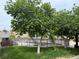 Inviting backyard pool area framed by mature trees and lush green grass at 4617 Gonzales Dr, Las Vegas, NV 89130