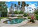Inviting backyard pool with lush landscaping and a rock wall feature at 4617 Gonzales Dr, Las Vegas, NV 89130