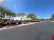 Scenic street view with mature trees along the road leading to the homes at 5904 Oakton St, Las Vegas, NV 89130