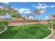 Well-maintained backyard featuring a grassy lawn and mature landscaping at 6927 Adobe Villa Ave, Las Vegas, NV 89142